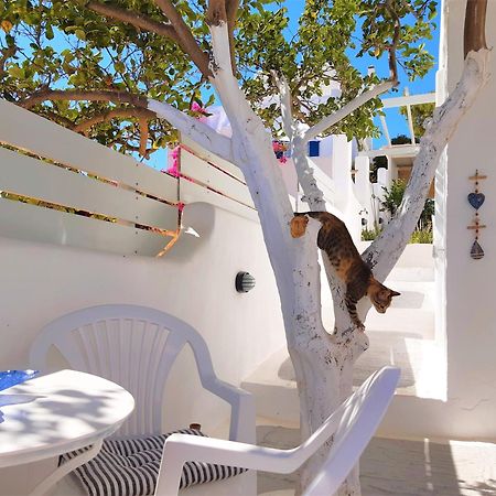 Lemon Tree Maisonette - Naoussa Paros Exterior photo