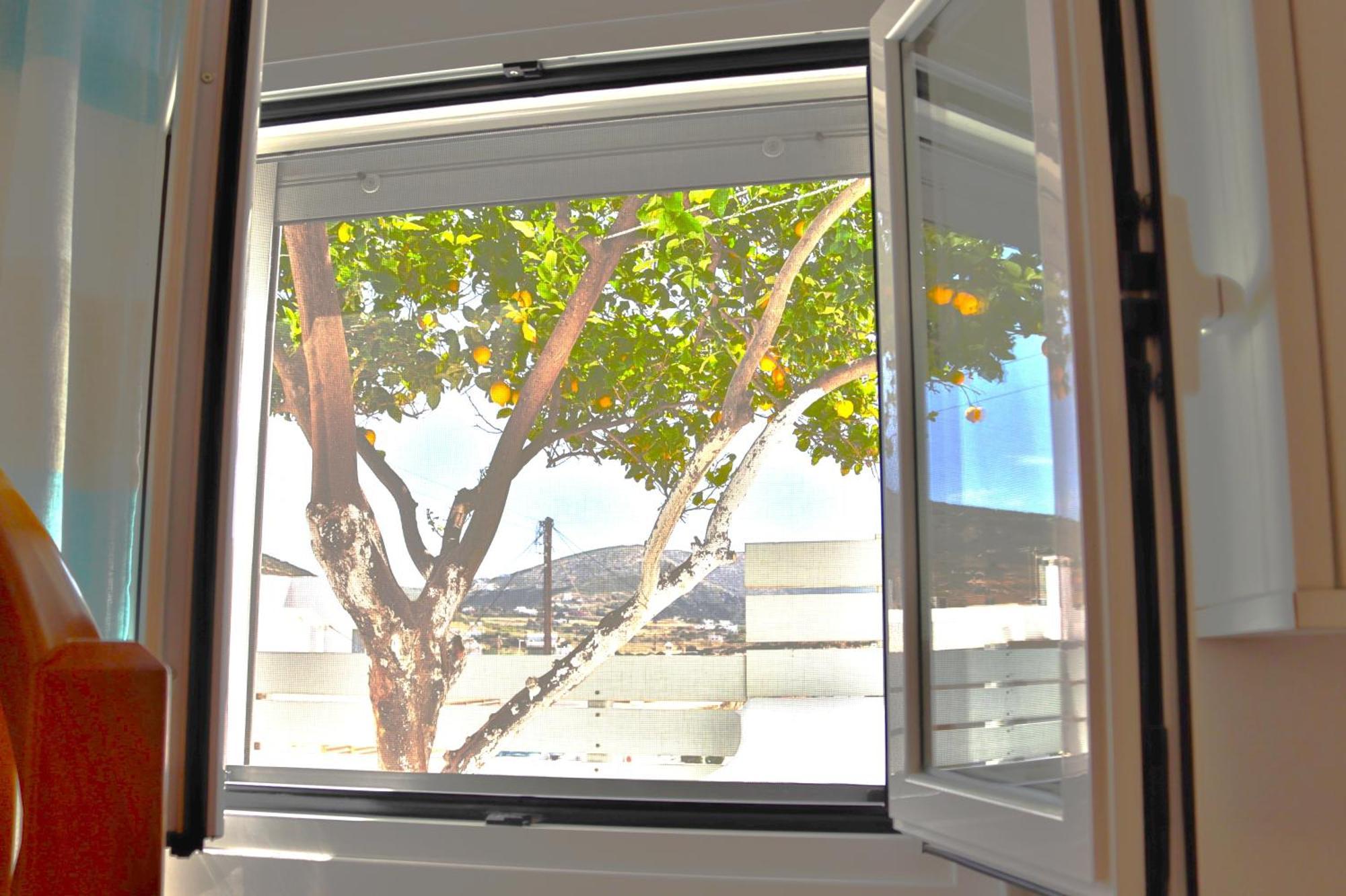 Lemon Tree Maisonette - Naoussa Paros Exterior photo