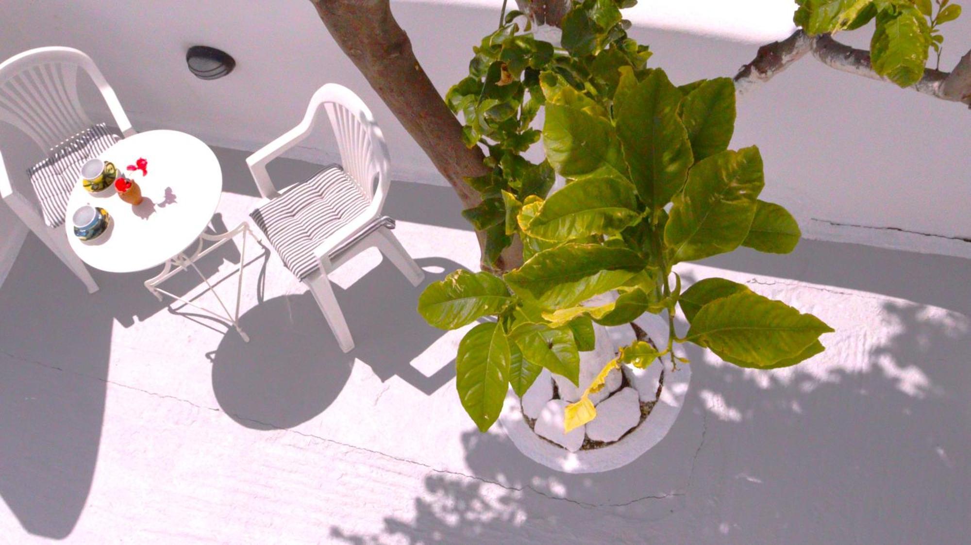 Lemon Tree Maisonette - Naoussa Paros Exterior photo