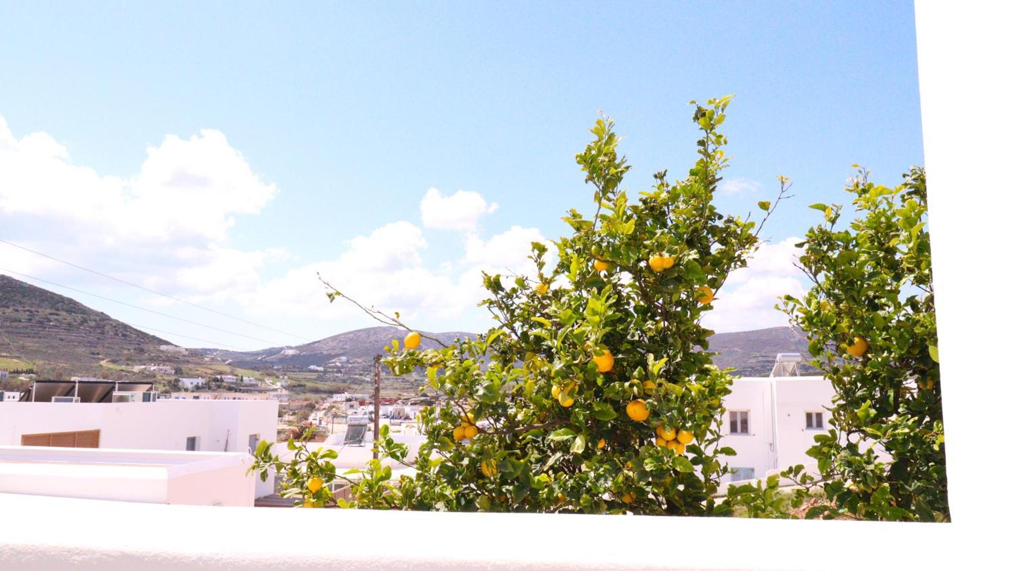 Lemon Tree Maisonette - Naoussa Paros Exterior photo